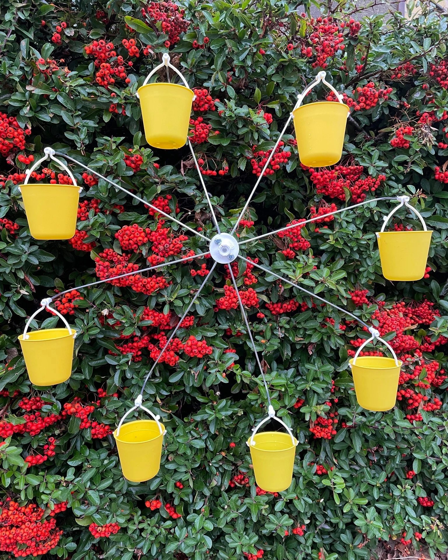 Ferris Wheel Bird Feeder 🐦 - onlinemegasale.com