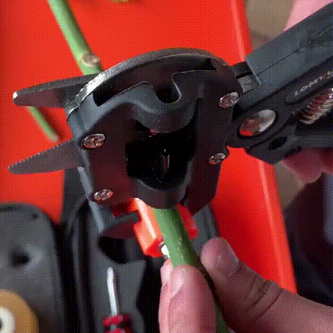 🎉HOT SALE-49% DISCOUNT - GARDEN PROFESSIONAL GRAFTING CUTTING TOOL - onlinemegasale.com