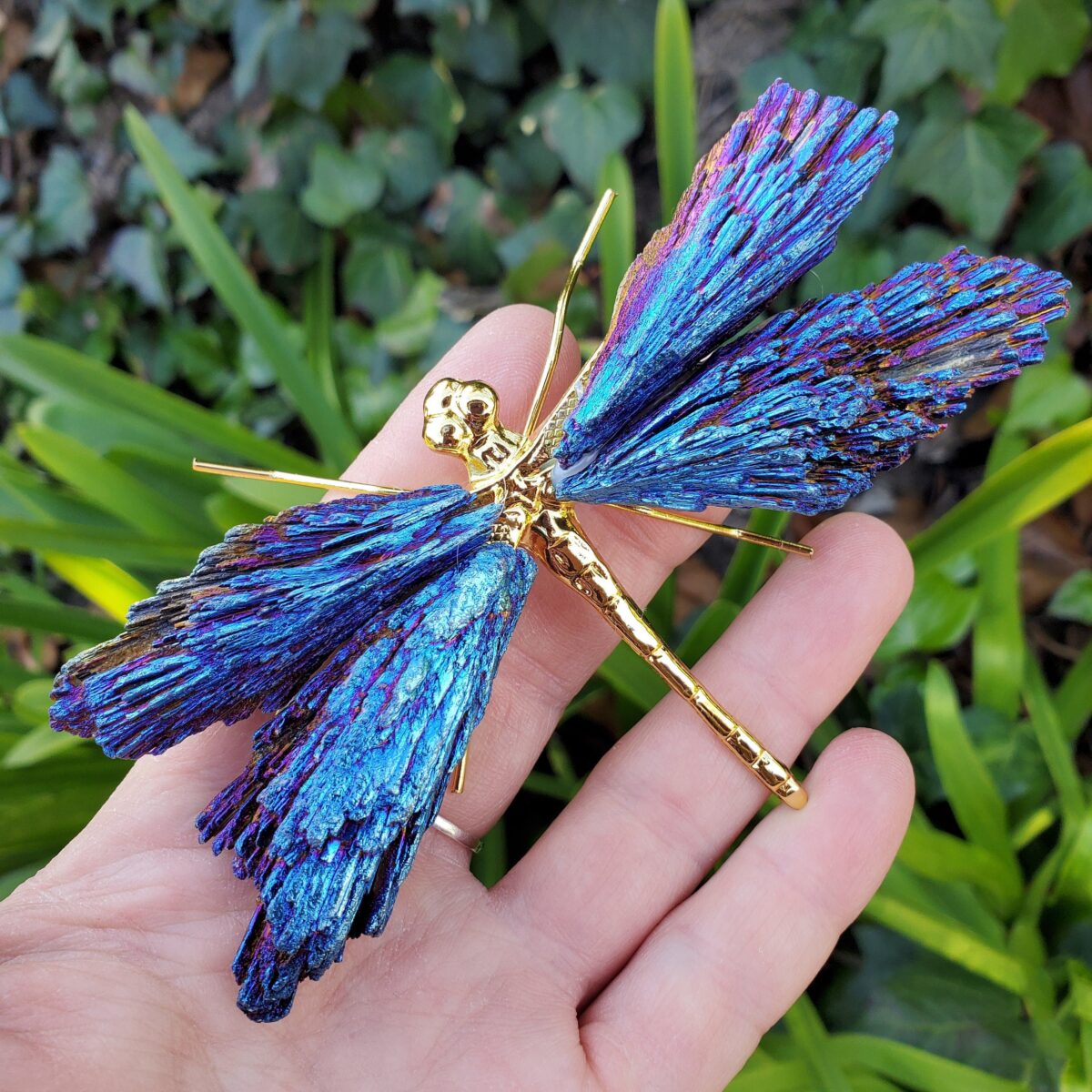 AURA TOURMALINE KYANITE DRAGONFLY - onlinemegasale.com