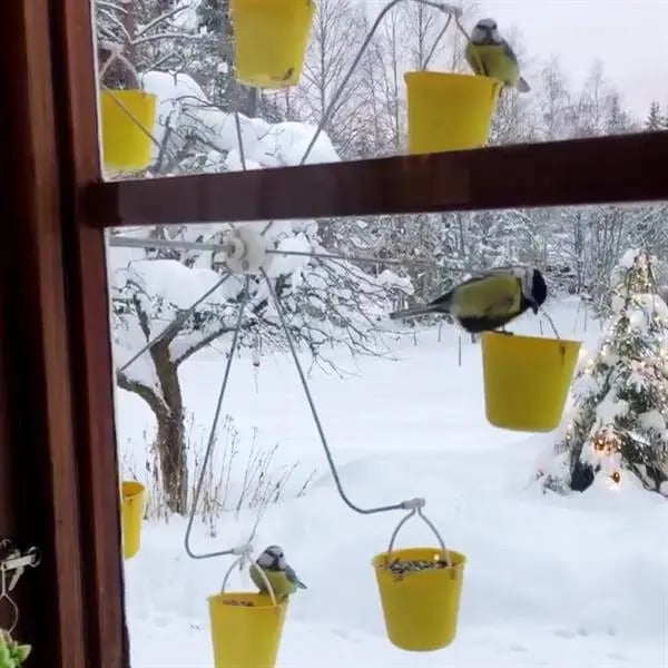 Ferris Wheel Bird Feeder 🐦 - onlinemegasale.com