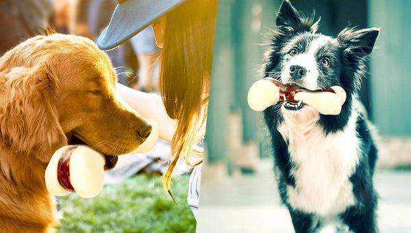 Indestructible Dog Chew Toy for Aggressive Chewers, Real Beef Flavor - onlinemegasale.com