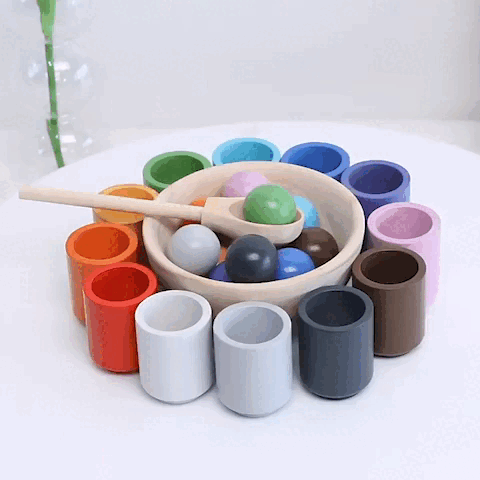 ColorQuest - onlinemegasale.com