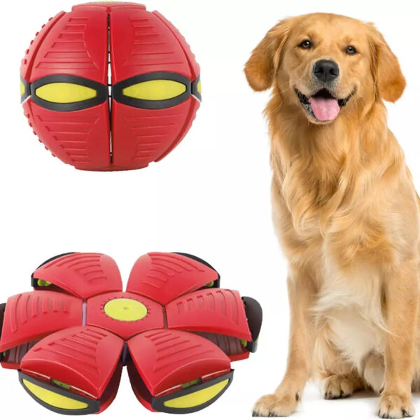 Flying Saucer Doggy Disc Ball