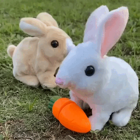 HoppyPal - onlinemegasale.com