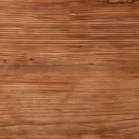 LetterFun - onlinemegasale.com LetterFun - onlinemegasale.com