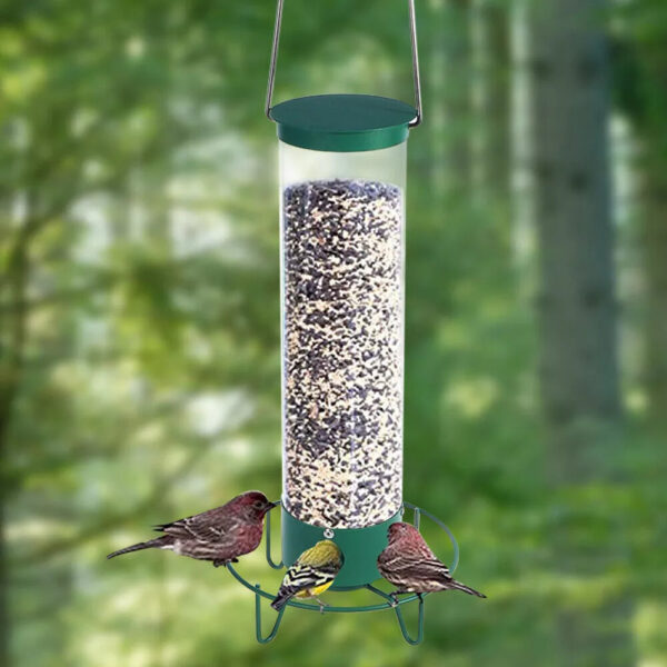 Squirrel Proof Bird Feeder