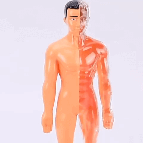 Organix - onlinemegasale.com