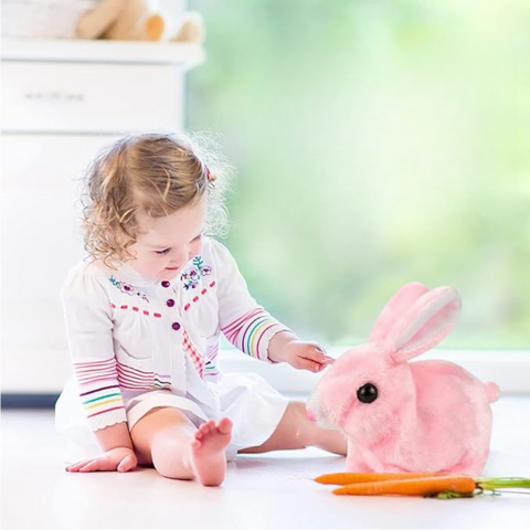 HoppyPal - onlinemegasale.com