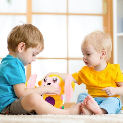 CrawlMonkey - onlinemegasale.com