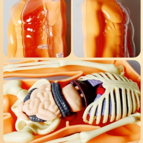 Organix - onlinemegasale.com