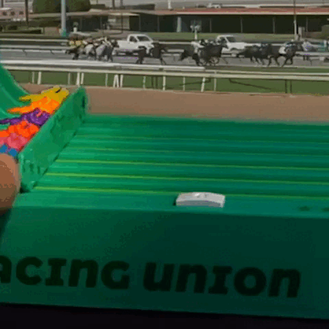 RaceMaster - onlinemegasale.com