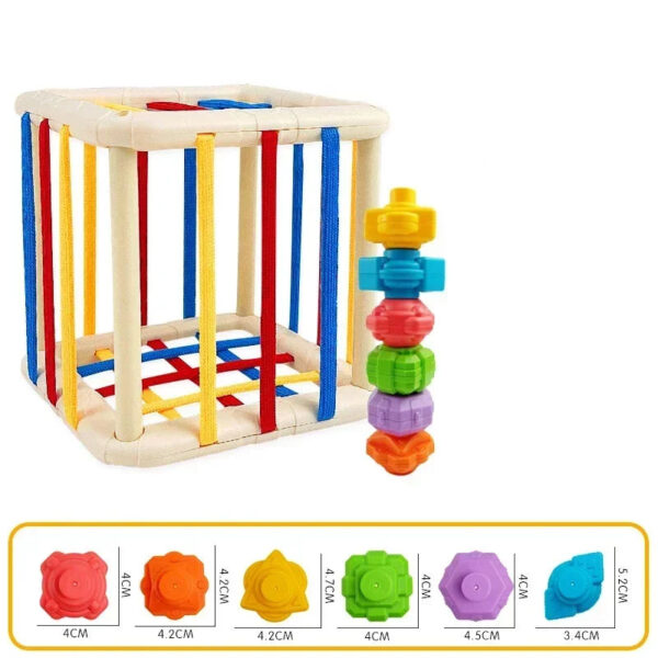 Rainbow Cecele Toddler Fine Motor Grip Training Toy
