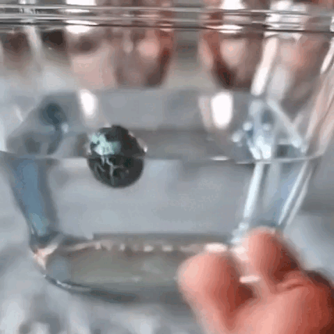 DinoCrack - onlinemegasale.com