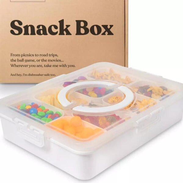 Divided Serving Tray with Lid and Handle