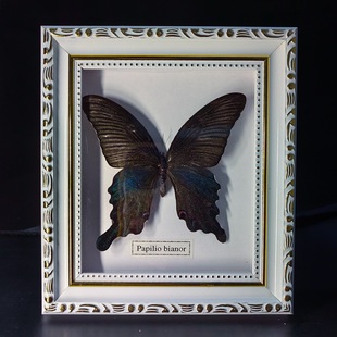 Butterfly crafts teaching collection decorations swallowtail butterfly three-dimensional ornaments - onlinemegasale.com