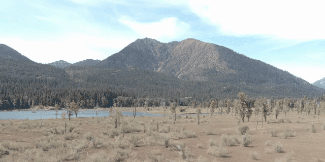 🎁New Year Sale 70% OFF🚁ZV1-728Drone-LATEST Drone with 6k UHD camera 📷 - onlinemegasale.com