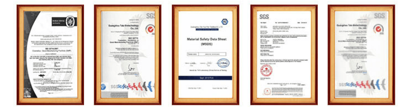 Compact Folding Spyder Camping Gas Stove - onlinemegasale.com