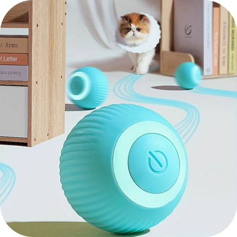 Cat playing with an automatic active gravity rolling ball