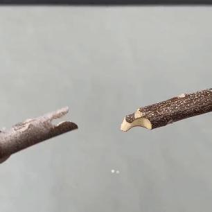 🎉HOT SALE-49% DISCOUNT - GARDEN PROFESSIONAL GRAFTING CUTTING TOOL - onlinemegasale.com