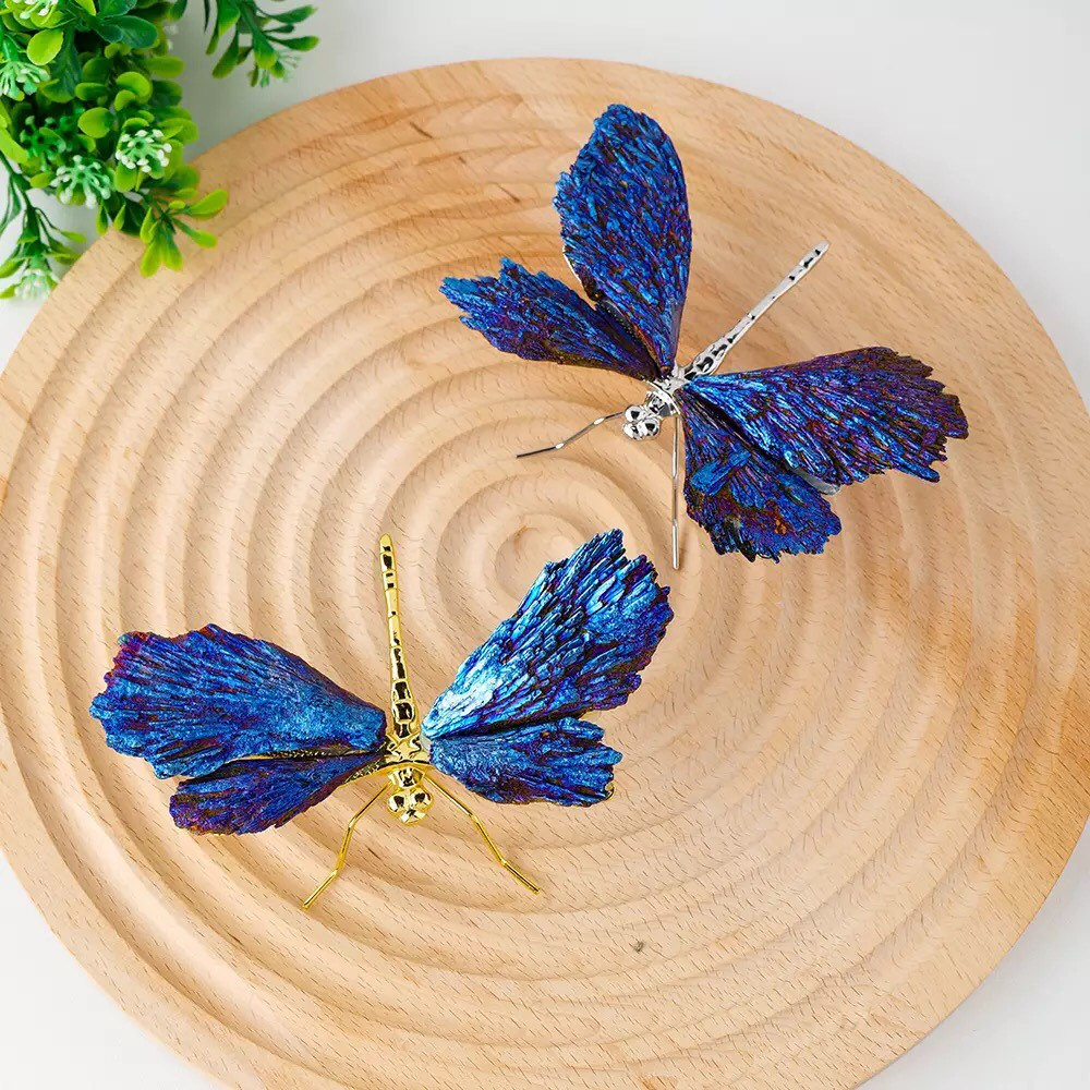 AURA TOURMALINE KYANITE DRAGONFLY - onlinemegasale.com