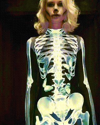 Skeleton Moth Halloween Costume - onlinemegasale.com Skeleton Moth Halloween Costume - onlinemegasale.com