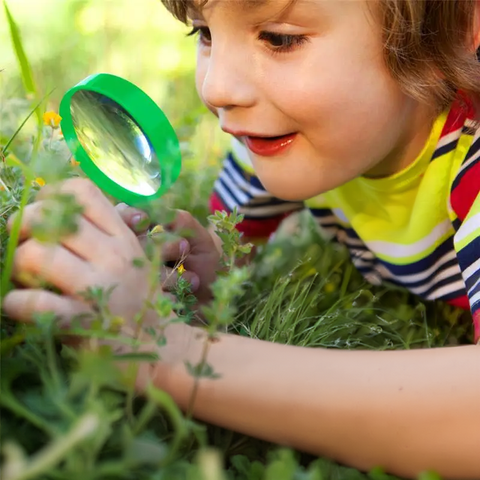 Explorer - onlinemegasale.com