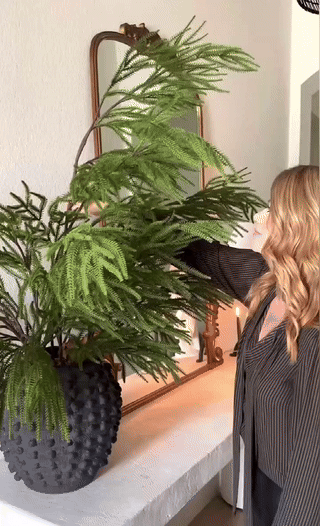 🔥Only $7.99🔥The Best Holiday Greenery - Realistic Norfolk Pine Stems - onlinemegasale.com