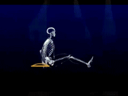 Magic Stretcher - onlinemegasale.com