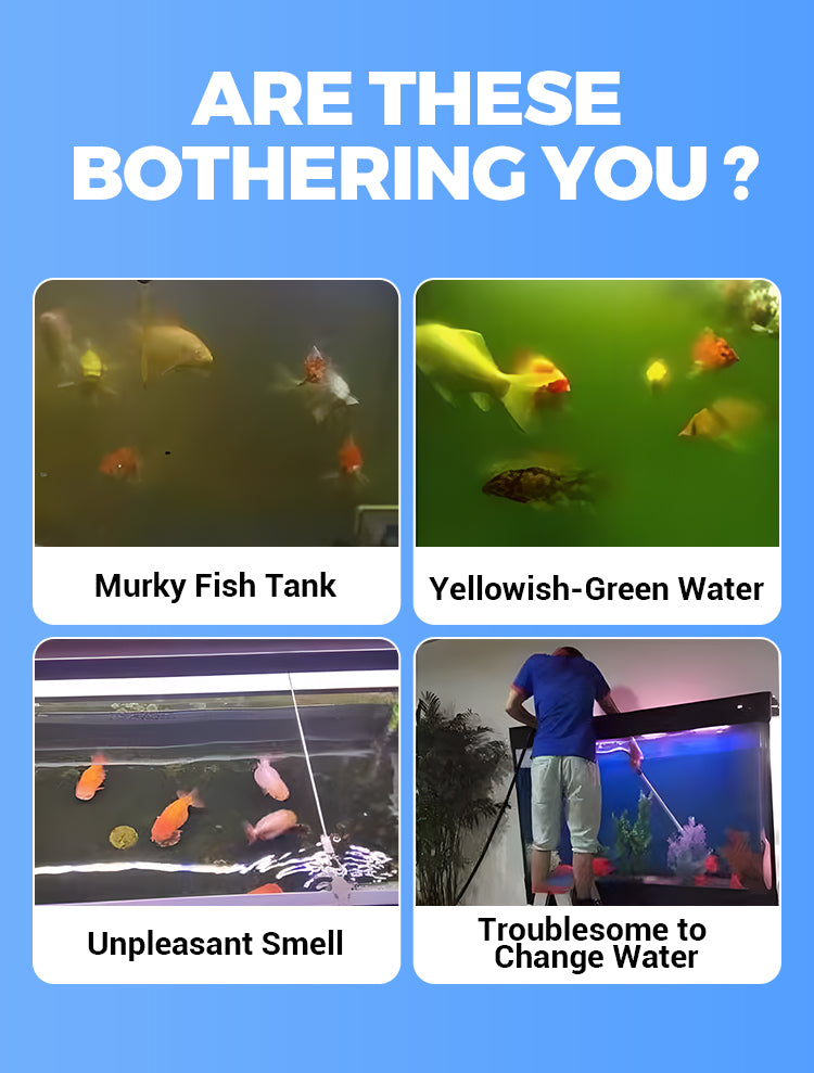 ✨️HOT SALE 49% OFF✨️Powerful Aquarium Water Purification Tablet🌿 - onlinemegasale.com