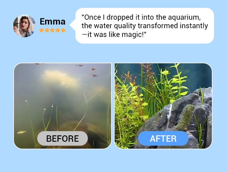 ✨️HOT SALE 49% OFF✨️Powerful Aquarium Water Purification Tablet🌿 - onlinemegasale.com