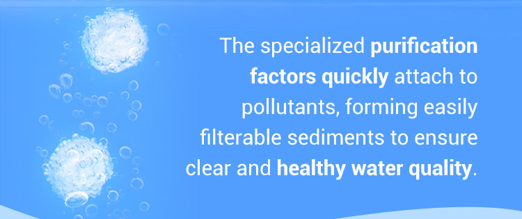 ✨️HOT SALE 49% OFF✨️Powerful Aquarium Water Purification Tablet🌿 - onlinemegasale.com