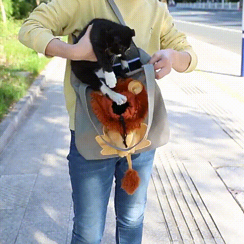(Last Day Promotion 50% OFF!⚡) Pet Canvas Shoulder Carrying Bag - onlinemegasale.com