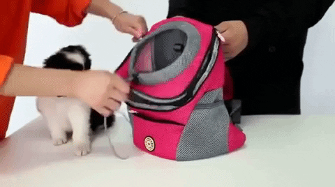 🔥Summer Hot Sale 🔥2024 Summer Dog Backpack - onlinemegasale.com