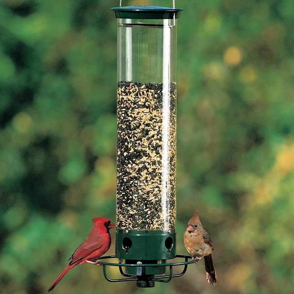 Squirrel-Proof Bird Feeder - onlinemegasale.com