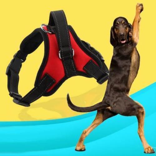 Dog Harness Vest