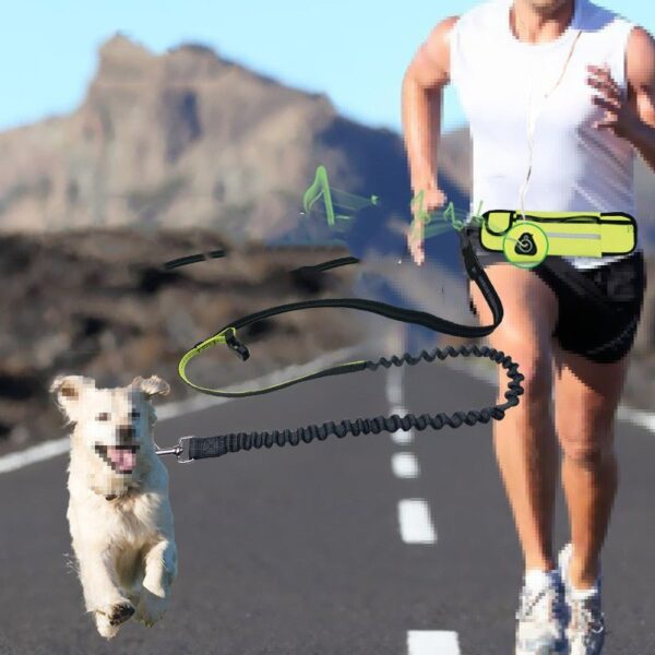 Reflective Bungee Dog Lead - Hands-Free Leash for Active Dogs in the UK